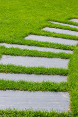 Chemin au milieu de la pelouse d'un jardin moderne.