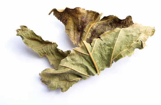 Dried Mulberry Leaves on white background. Herbal tea