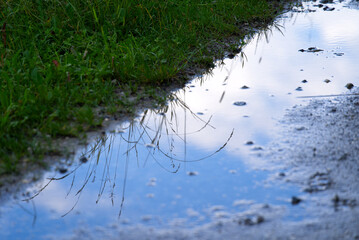 Little puddle at border of agricultural field with beautiful reflections in water at summer day morning. Photo taken June 29th, 2021, Zurich, Switzerland.