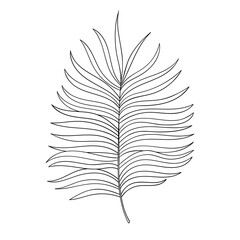 Palm outline vector sketch hand drawn botanical illustration. Tropic palm clipart.