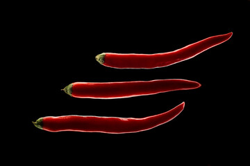 Creative Chili photography. One Red Chili shooting. Growing light on the side of the subject and...