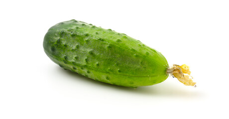 Close-up of whole gherkin, fresh, green cucumber isolated on white background.