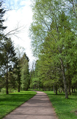 Green park in Russia