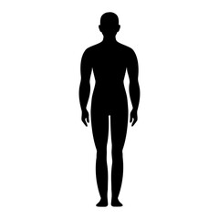 Fototapeta premium Male anatomy human front and side view body silhouette