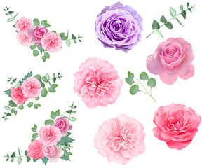 優しい色使いのバラの花とリーフの植物イラスト素材
