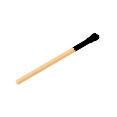Burnt match isolated on white background.