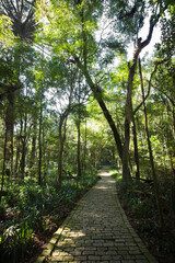 Bosque do Papa João Paulo II parc in Curitiba, Brazil. 