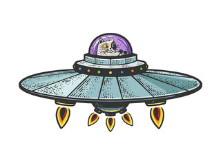 Cat on UFO spaceship sketch raster illustration