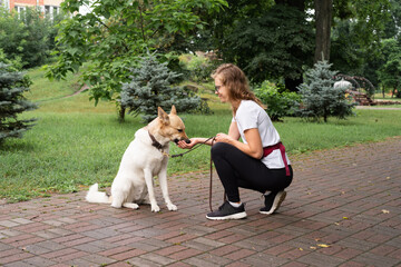 young woman training her dog in a park