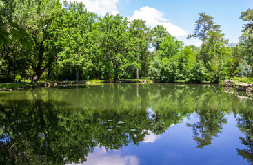 Green trees in summer around the pond. Ascania Nova Reserve. Ukraine.