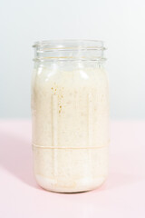 Sourdough starter