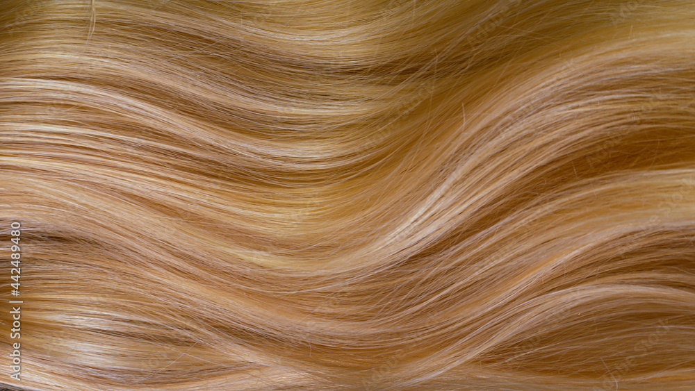 Wall mural macro shot of beautiful healthy long smooth flowing blonde hair.