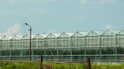 huge glass greenhouses of the agro-industrial complex