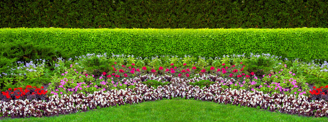 garden bed in park with plants deciduous hedge and flower bed with flowers on green grass landscape design bnner, nobody. - obrazy, fototapety, plakaty