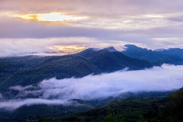 mountains in the fog
