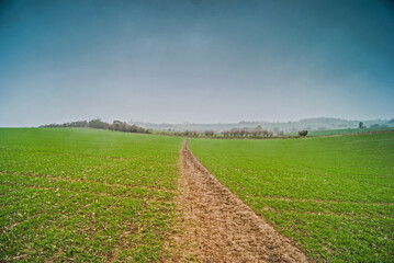 Winter fields in Saffron Walden area UK