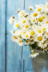 Chamomile flowers on a blue wooden background. summer mood.