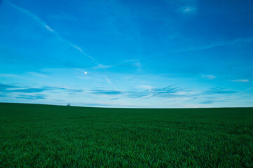 Evening walk, sunset in the fields, Essex, area of Saffron Walden, UK