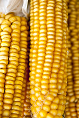 corn background