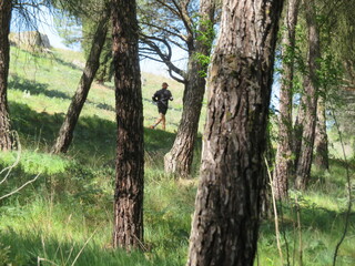 sport career exercise health stay in forest shape