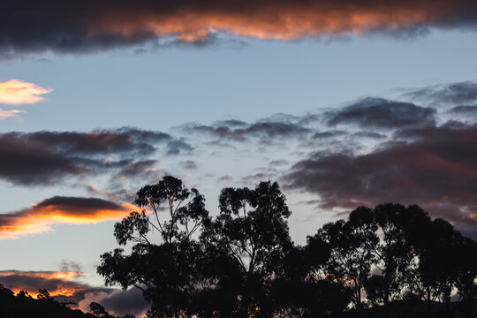 sunset sky with pink and orange clouds over the mountains and eucalytus gum trees