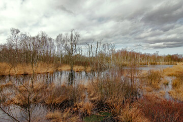 Moorlandschaft im Herbst 2