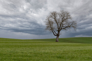 Obraz premium Mostviertel