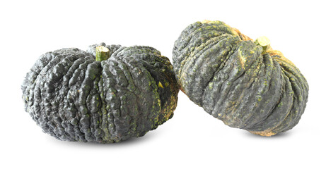 Pumpkin isolated on a white background