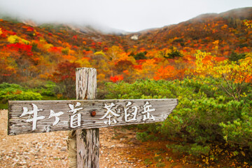 茶臼岳　姥ヶ平～牛ヶ首までの道標
【Autumn leaves and signposts of Mt. Nasu in Japan】