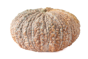 Pumpkin isolated on a white background