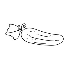 Cucumber outline doodle icon isolated on a white background. Vegetarian healthy food. Vector sketch illustration for icon, web, mobile, infographics, logo, print, icon, card, emblem, label, food menu