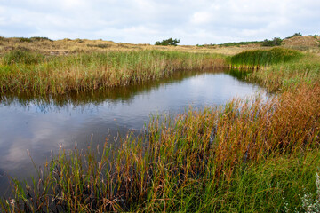 Landschap Vlieland; Landscape Vlieland (Netherlands)
