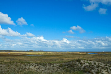 Obraz premium Vlieland
