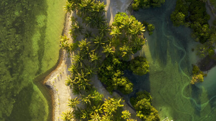 top view of the perfect beach
