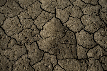 dry soil background
