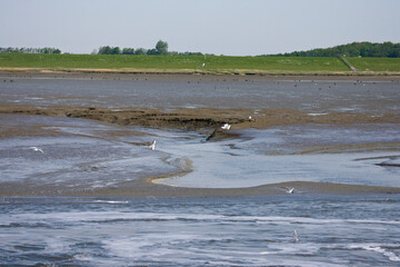 Schiermonnikoog