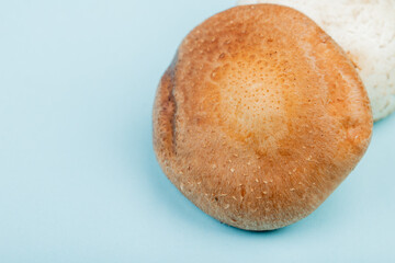 close up view of fresh mushrooms isolated on light blue background with copy space