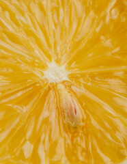 close up view of ripe fresh yellow lemon slice
