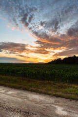 A dirt road in the hungarian countryside after a refreshing summer rain