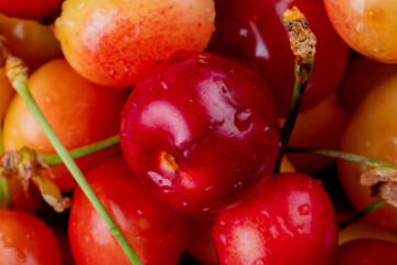 pattern with ripe rainier cherries with water drops close up view