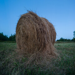 Rural landscape with one roll bale in field during blue hour, straw haystack as cattle fodder