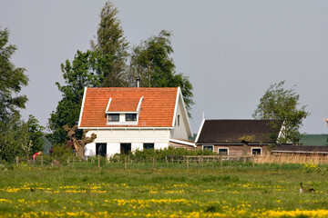 Fototapeta premium Boerderij, Farm