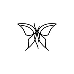 butterfly logo line vector
