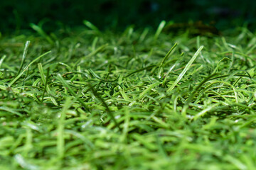 artificial green grass on a football field close-up