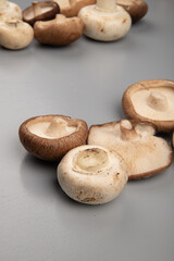 side view of fresh mushrooms isolated on light blue background