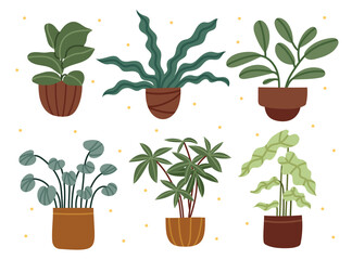 Set of various houseplants. Home decor. Cozy plants. Clay pots.