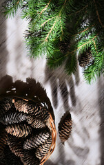 Blurred shadow of female hand and branch of Christmas tree, basket with fir cones. Christmas still life, play of light and shadow, shadow play illusion concept