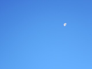 Moon on the morning blue sky