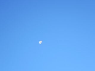 Moon on the morning blue sky