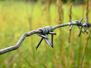 Barbed wire, single element shot with selective focus